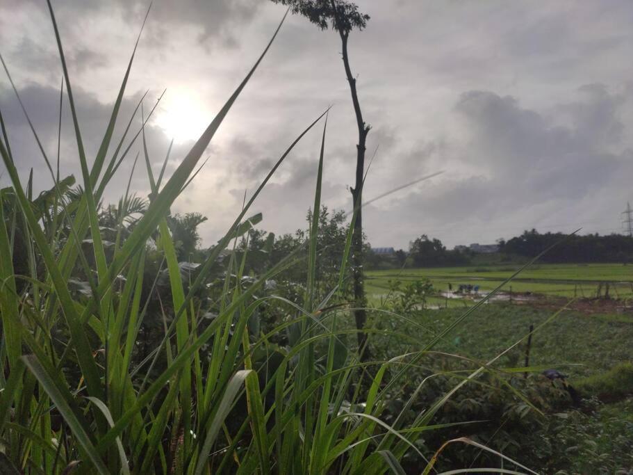 Kamanabillu Homestay, For Jog Falls Travellers Siddāpur エクステリア 写真