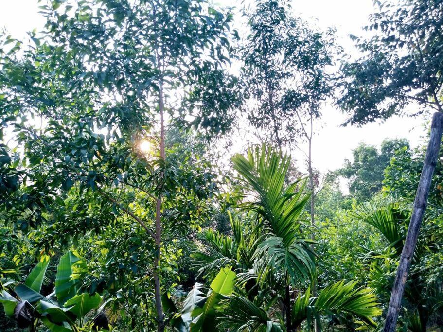 Kamanabillu Homestay, For Jog Falls Travellers Siddāpur エクステリア 写真